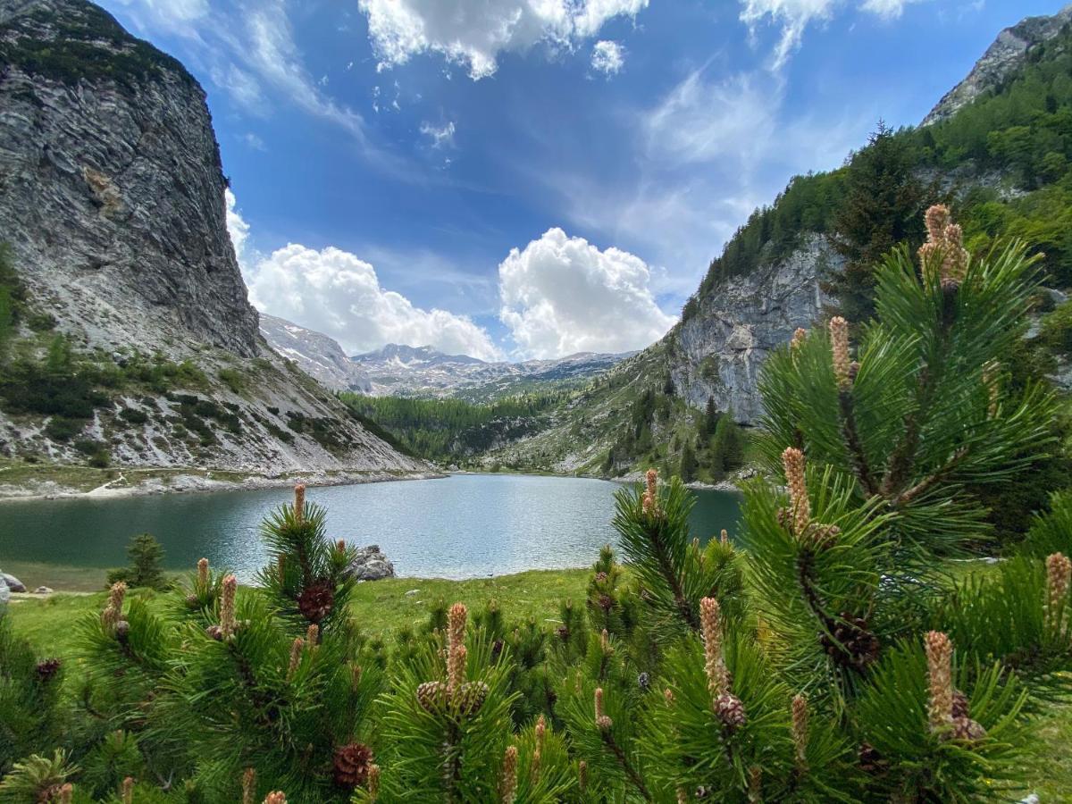 Hostel Soca Rocks Bovec Εξωτερικό φωτογραφία